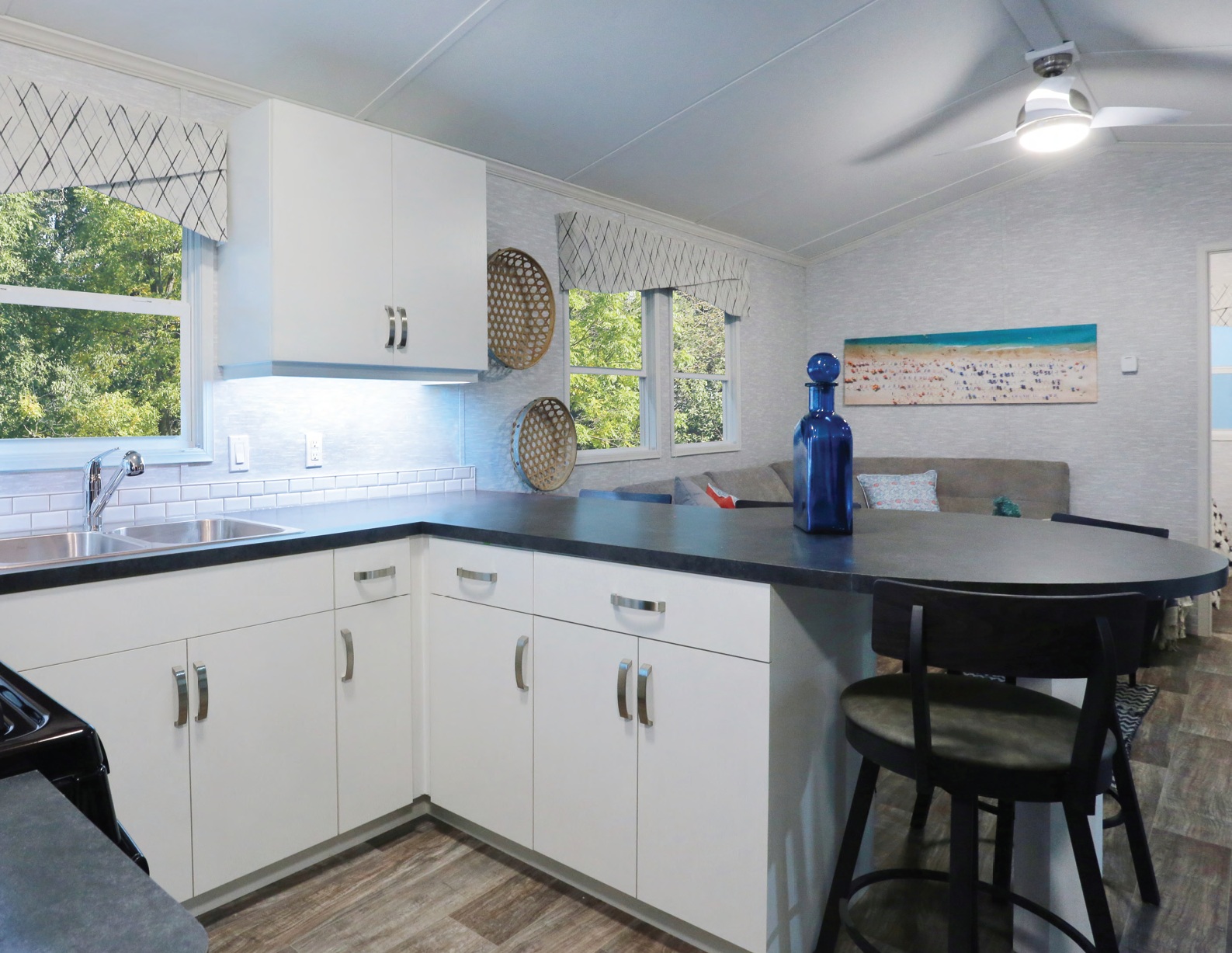 Open-concept kitchen and living spaces